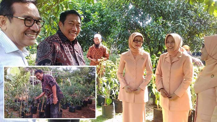 Kiat Spudnik Sujono Atasi Pengeluaran Rumah Tangga, 280.000 Polibag Cabai Hemat Rp300 Juta